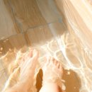 스테이 니와 이미지