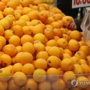 골목과일 이미지