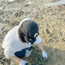 중리어촌체험마을 | 충남 서산 가볼만한곳 갯벌체험 중리어촌체험마을 알찬 1박2일