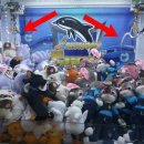 쥬디뽑기# 이미지