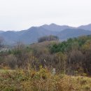 살미면 세성로 20, (세성리) | 강진후산(173m). 문봉(어지리산[1]215m). 어지리산[2](216m). 윤갈문이(270m). 담바우산(236m). 당무산...