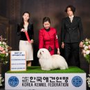 꼬똥몽드 네이버블로그
