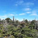 제175차 특별산행 제주한라산(1,950m)&남벽분기점(2) 이미지