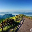 일출로4 이미지