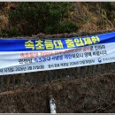 속초 등대 Daum카페