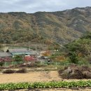 딸부자집 펜션 이미지