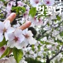모서리 다방 이미지