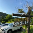 [별내라벤더하우스] 아기와 토끼가 같이 뛰어놀수 있는 곳