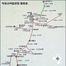 설천면109 Daum카페