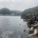 입암2리 | 포항 짬낚시 포인트(입암2리 방파제)