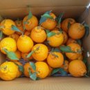 가정3-02-010 이미지