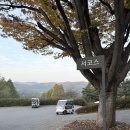 명문 | 레이크사이드CC 서코스 라운딩 후기, 명문 코스의 진짜 매력