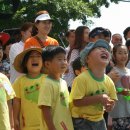 전남 강진에서는 '흙, 불 그리고 사람' 이라는 주제로 축제가 개최된다. 이미지