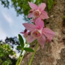 대연농원밥집 이미지