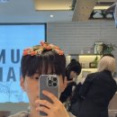태양미용실 네이버블로그