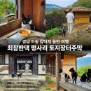 참사랑주막 | 하동 애견동반 여행지 최참판댁 드라마 촬영지 맛집 평사리 토지장터주막