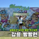 공영프로덕션 | [강릉] 살찌는건 싫지만 빵과 커피는 먹고싶은 ‘강릉 빵빵런 2026’ 5km 후기