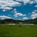 오늘도푸른 이미지