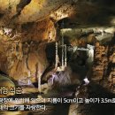 대금굴