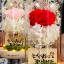 (주)라임마트