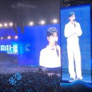 11650-16-166-18 | 임영웅 고척돔 콘서트 l 166m 초대형 스크린으로 화제