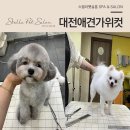 Pet salon 이미지