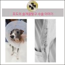 해운대플러스동물병원 이미지