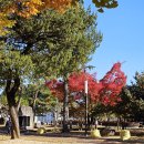 남산공원 이미지