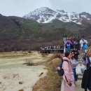 (주)거우