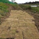 키그린하우스 이미지