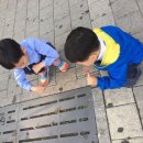 열정냉면낭만돼지 이미지