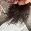 근처 초량 미용실 이번엔 모발 클리닉 “어썸헤어 바이 래모아” 건조한 날씨 모발관리 내돈내산 솔직후기