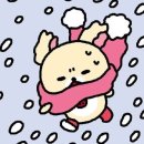 정대포장마차 | 혼자?보단 ✌️이 좋아? ✌️이 보단 너🫵가 좋아