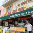 명물꿀빵7호점 | 통영 꿀빵 어디 갈지 고민이면? 명물꿀빵7호점 리얼 후기