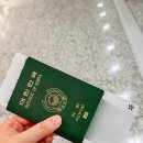 천보반점 | Day1 상하이 메리어트 마르퀴스 시티 센터 호텔 후기, 찌엔빙, 미슐랭 맛집 라오싱시엔, 젤라또, 와이탄...