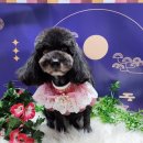 남동대로 이미지