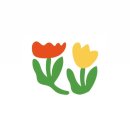 바다꽃방 | 창원 꽃집 '바다꽃방' 💐: 특별한 날을 더욱 빛내줄 감각적인 플라워 스튜디오