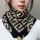이리온 이미지