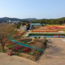 코리아플라워파크 이미지