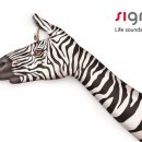 시그니아 보청기 서대문센타 이미지