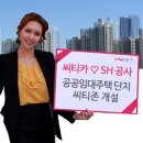 씨티카써비스 이미지