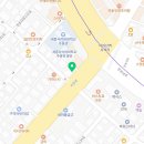 블리독 서울점 고양이 강아지분양 말티푸 비숑 포메라니안 이미지