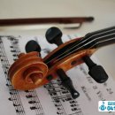바이올린 1:1 레슨 이미지