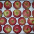 춘향과 몽룡 이미지