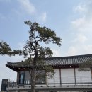 초평가배 이미지