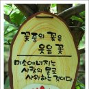 수수하게 Daum카페
