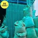 용담장 이미지