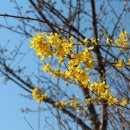 동우여자고등학교 이미지