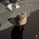 동천다리슈퍼 | [순천/카페] 레트로 감성 물씬 순천 밀림슈퍼