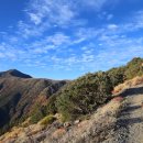 텔레스코프 이미지